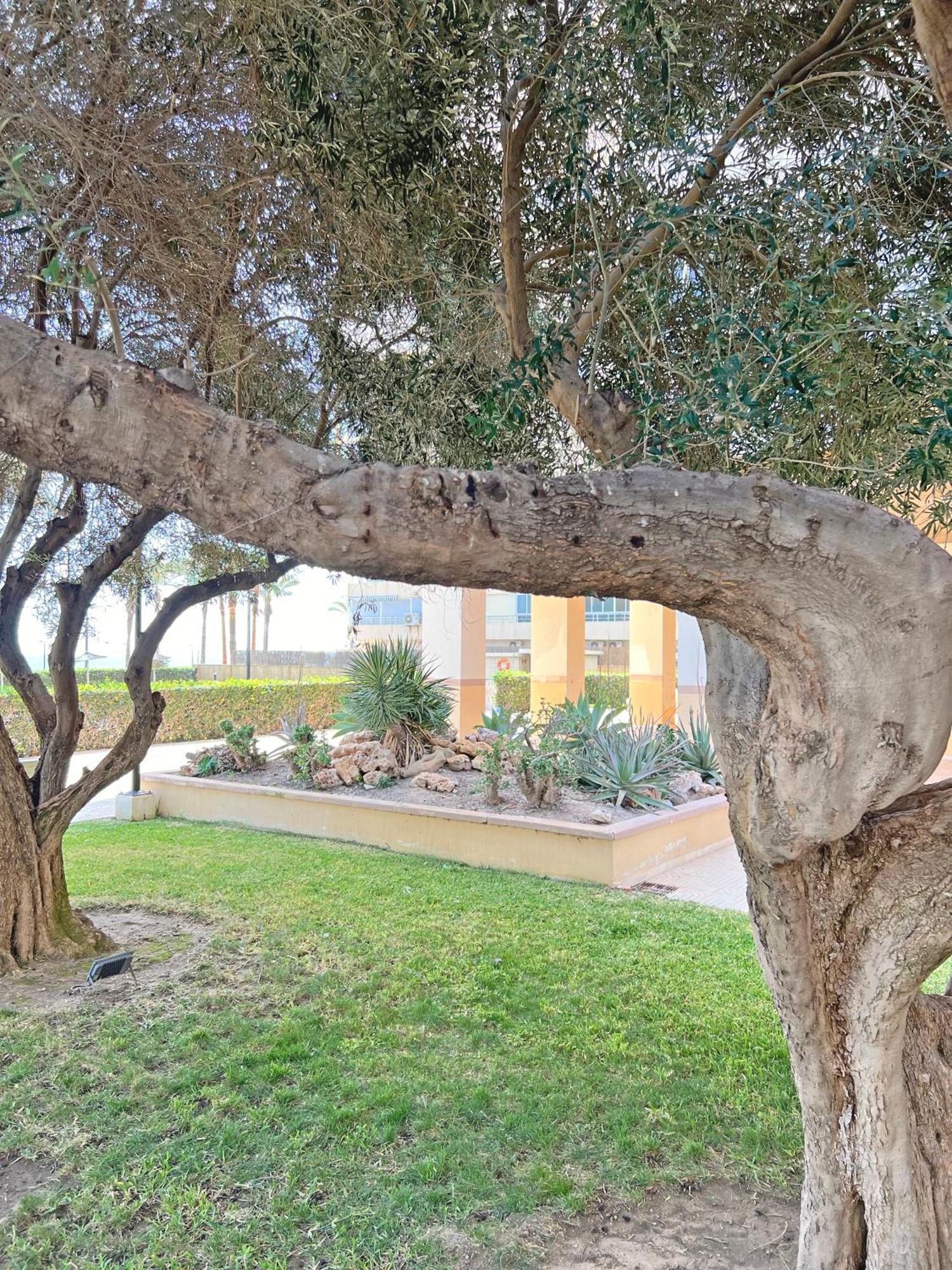 Oasis Frente Al Mar. Parking Gratis Apartment El Campello Exterior photo